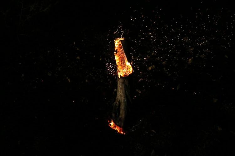 <p>Çok sayıda kara ekibi, yangın sahasındaki çalışmalarını sürdürdü. </p>

<p> </p>
