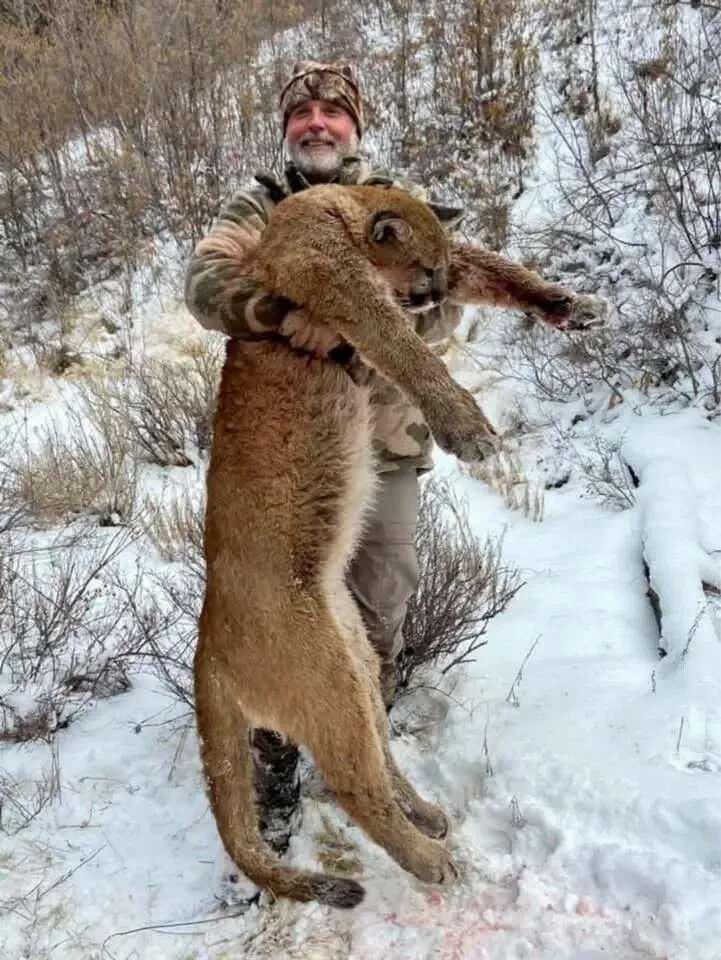 <p>Safariye katıldığı günlerden birinde su antilopunu vurmayı başaran avcı, ikinci gün 3 tonluk bir Afrika mandasını avlamak üzere iz sürmeye başladı. Ancak işler planlandığı gibi gitmedi.</p>

<p> </p>
