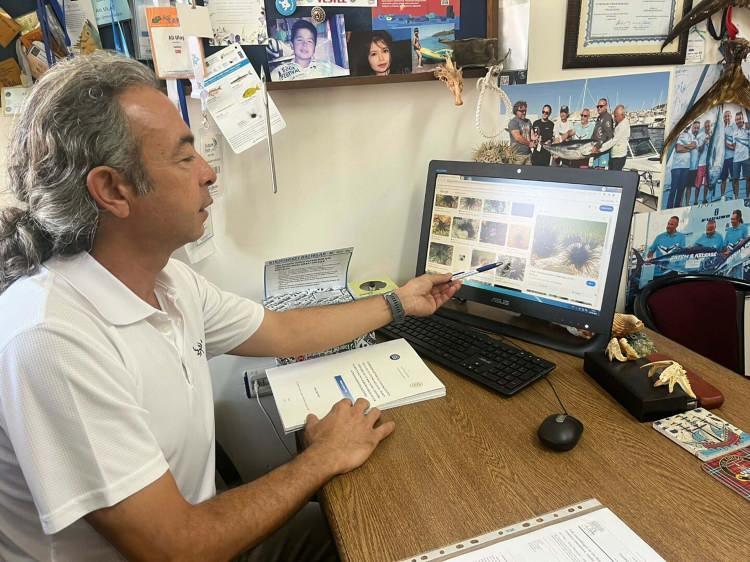 <p>"Bunlar, Tetraodontidae familyasına ait 4 dişli türler. En tehlikeli olanı gümüşi balon balığı. Karaciğerinde bulunan 'tetrodotoksin' adı verilen nörotoksin sayesinde çok ciddi bir zehre sahip ve tüketilmesi yasak. Mücadele yöntemi olarak balıkçılar, yakaladığında kuyruklarını kesip öldürerek denize atıyorlar. Diğer bir türümüz cüce balon balığı. Bu türü özellikle güneyde çok sık görebiliriz. Daha küçük boyutta, sütlü kahverenginde ve daha yoğun bir şekilde bulunuyorlar. Gümüşi balon balığı kadar çok tehlikeli değiller. Ama yayılımcı oldukları ve doğal türlere baskı kurdukları için çok ciddi bir şekilde popülasyonları artıyor."</p>

