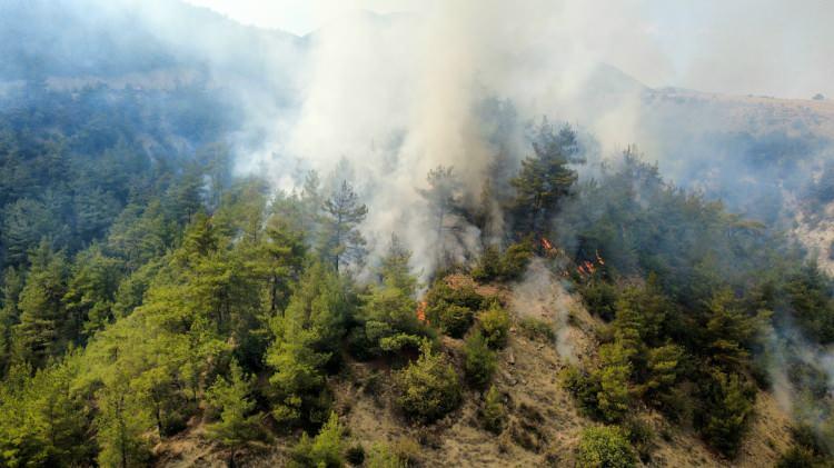<p>İhbar üzerine bölgeye itfaiye ekipleri ile orman işletmeye ait arazözler sevk edildi.</p>

<p> </p>
