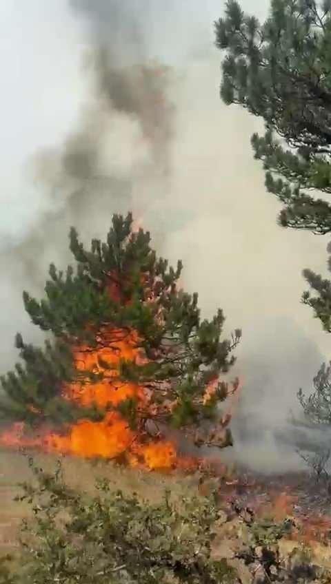 <p>Yangını görenlerin ihbarı üzerine bölgeye itfaiye, Orman Bölge Müdürlüğü'ne bağlı arazözler, helikopter ile çok sayıda personel sevk edildi. Yangın bölgesine giden ekipler, havadan ve karadan müdahaleye başladı. Köyde yaşayan vatandaşlar da yangın söndürme çalışmalarına destek veriyor.</p>
