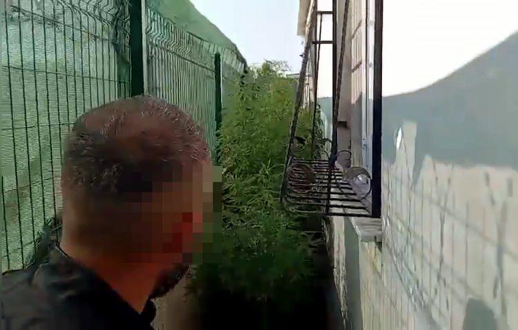 <p>Diğer şüpheliler ise uyuşturucu madde satmadıklarını, kendilerinin kullandıklarını öne sürdü. Emniyetteki işlemlerinin ardından adliyeye sevk edilen B.A., M.T., S.A., M.N. ile İ.K. tutuklandı, D.K. adli kontrol şartıyla serbest bırakıldı. </p>