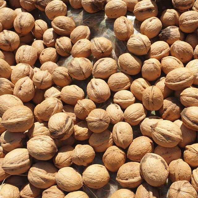 <p><span style="color:#800080"><strong>ENERJİ VE OMEGA-3 AÇISINDAN DAHA FAYDALI</strong></span></p>