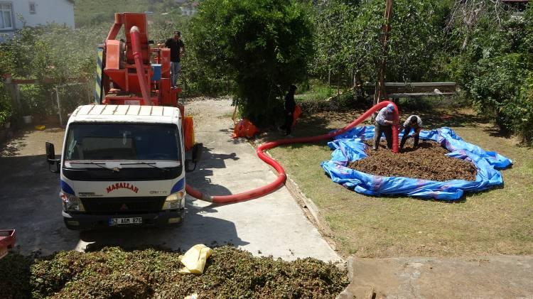 <p>Ordu'da hasat edilen fındıkların, zorlu patoz mesaisi başlarken, saatlik ücreti duyan kulaklarına inanamadı. </p>
