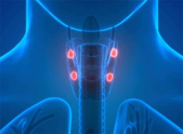 <p>2025 Nisan ayında <strong>tesadüfen gittiği</strong> bir doktorda yapılan testler sonucu Tracy Moore’a doğru teşhis koyuldu. <strong>Paratiroit hormonu yüksek</strong> olan Tracy’ye "<strong>primer hiperparatiroidizm</strong>" (PHPT) teşhisi konuldu.</p>
