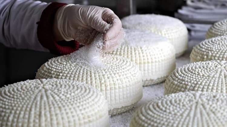 <p>Koyun ve keçi sütünden üretilir. Tuzlu, yağlı ve geleneksel Çerkez mutfağının karakteristik peyniridir.</p>
