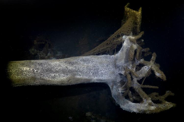 <p>Bir zamanlar G&ouml;lc&uuml;kl&uuml;lerin, Değirmenderelilerin dolaştığı sahil, vakit ge&ccedil;irdiği, dinlendiği &ccedil;ay bah&ccedil;esi, g&uuml;neşten korunduğu &ccedil;ınar ağa&ccedil;ları şu anda suyun altında.&nbsp;</p>
