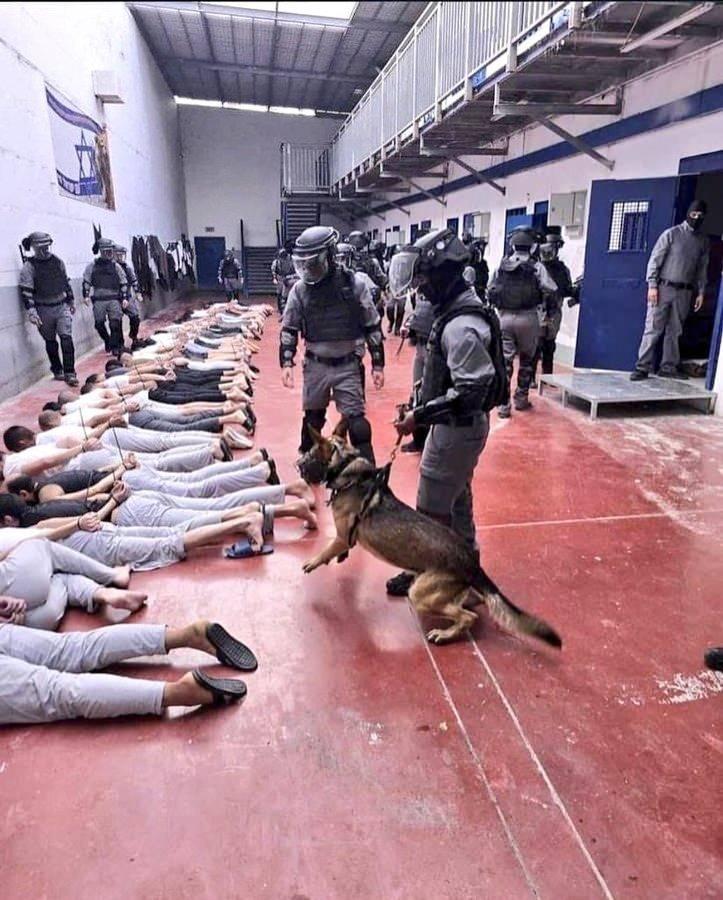 <p><span style="color:#B22222"><strong>KÖPEKLERİ KULLANARAK TOPLU İŞKENCE</strong></span></p>