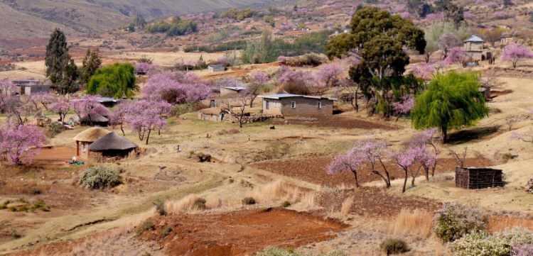 <p><span style="color:#B22222"><strong>LESOTHO – DAĞLARIN ÜLKESİ</strong></span></p>

<p> </p>

