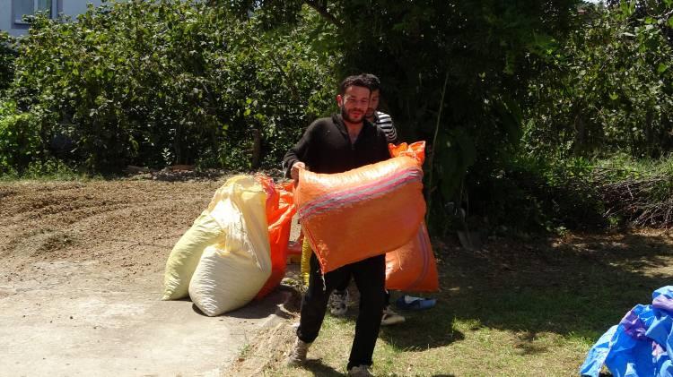 <p>Üretici Temel Türkeli ise hasadını yaptıkları fındığı patoza verdiklerini ifade ederek, <strong>"Şimdi birinci etabı verdik, diğer fındıkları sonra vereceğiz. Biz de fındık bu yıl güzeldi. Kokarca çok var ancak yavru halinde olduğu için fındığa etkisi olmamış. Şu an için hasat sezonunu bitirdik, sıcak hava bizi biraz zorladı, fındığı da etkiledi. Yine de Allah'a şükürler olsun."</strong> diye konuştu.</p>
