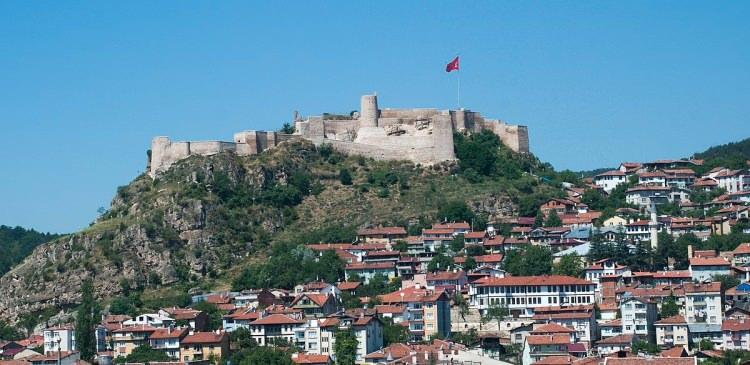 <p><span style="color:#B22222"><strong>KASTAMONU</strong></span></p>
<p> </p>
<p>Kadınlarda ortalama yaşam süresi: 81,2</p>
<p>Erkeklerde ortalama yaşam süresi: 75,0</p>
<p>Ortalama: 78,0</p>