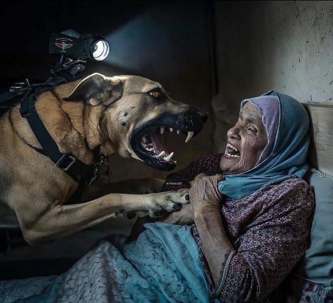 <p><span style="color:#B22222"><strong>1)  KÖPEKLERLE SALDIRI!</strong></span></p>
