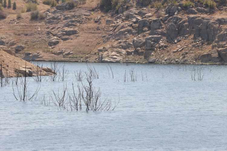 <p>Tekirdağ'ın Süleymanpaşa ilçesindeki Yazır Göleti'nde, su seviyesi yüzde 4'lere kadar düştü. Gölet tabanındaki çalılıklar, ağaçlar ve taşlar gün yüzüne çıktı.</p>
