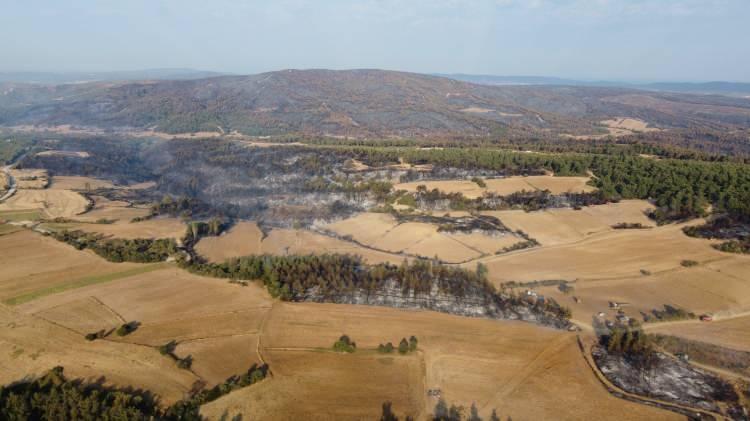 <p>Yangını tamamen söndürmek için çalışmalar devam ederken, zarar gören alanlar dronla havadan görüntülendi.</p>
