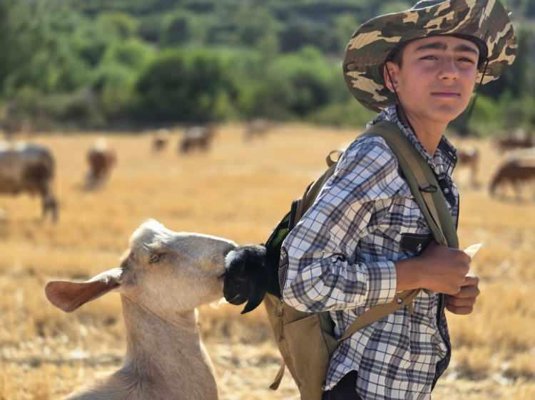 <p>İlk defa karşılaştığı bir durum olduğunu söyleyen Muhammed Emre Başar,<strong> "Keçimin oğlakladığını gördüm. Kendi imkanlarımla onu annesine yaklaştırıp emzirmeye çalıştım. Köye giderken uzaklık <span style="color:#A52A2A">4-5 kilometre olduğu için sırt çantama koyup köye götürdüm.</span> Keçimin oğlağını görmek beni çok mutlu etti. Yorulmasın diye çantama aldım. Hayvanlarla uğraşmak mutlu ediyor. Onlara yem vermek, su vermek, otlatmak, onların yavrularıyla uğraşmak çok heyecan verici. Onları çok seviyorum."</strong> şeklinde konuştu. </p>
