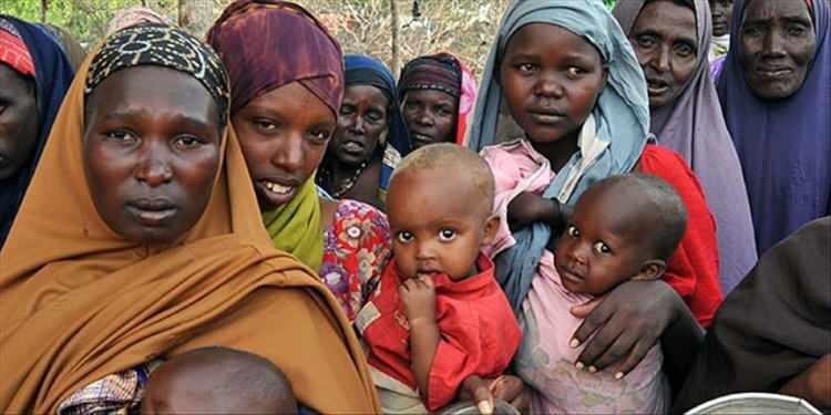<p><span style="color:inherit"><span style="color:rgb(178, 34, 34)"><strong>21)  SOMALİ</strong></span></span></p>

<p> </p>
