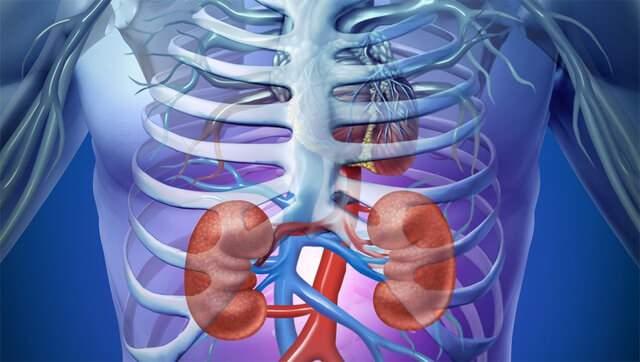 <p>Doç. Dr. Veysel Umman, böbrek yetmezliğinin önlenmesi için erken tanının hayati öneme sahip olduğunu vurguladı:</p>
