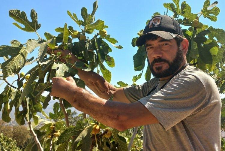<p>Türkiye'de ilk kez yapılan çift kol nakliyle tıp tarihine geçen ve hayata yeniden tutunan 44 yaşındaki Cihan Topal, otomobil ve motosiklet kullanıyor, zeytin toplayıp incir hasat ediyor.</p>
<p> </p>