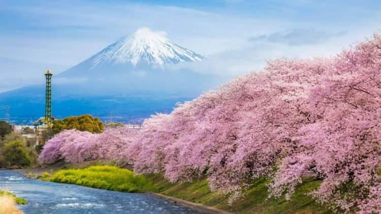 <p><span style="color:#B22222"><strong>10. JAPONYA</strong></span></p>

<p>&nbsp;</p>
