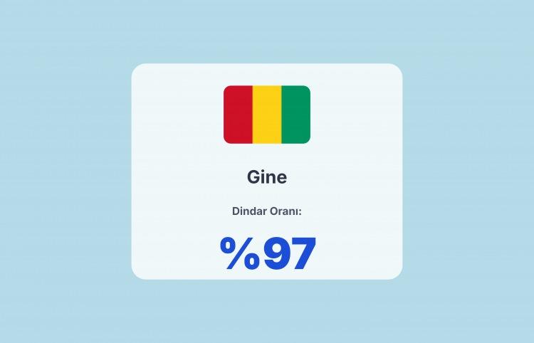 <p><span style="color:#B22222"><strong>19)&nbsp; GİNE</strong></span></p>
