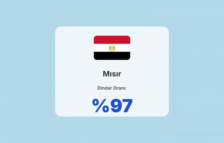 <p><span style="color:#B22222"><strong>12)&nbsp; MISIR</strong></span></p>
