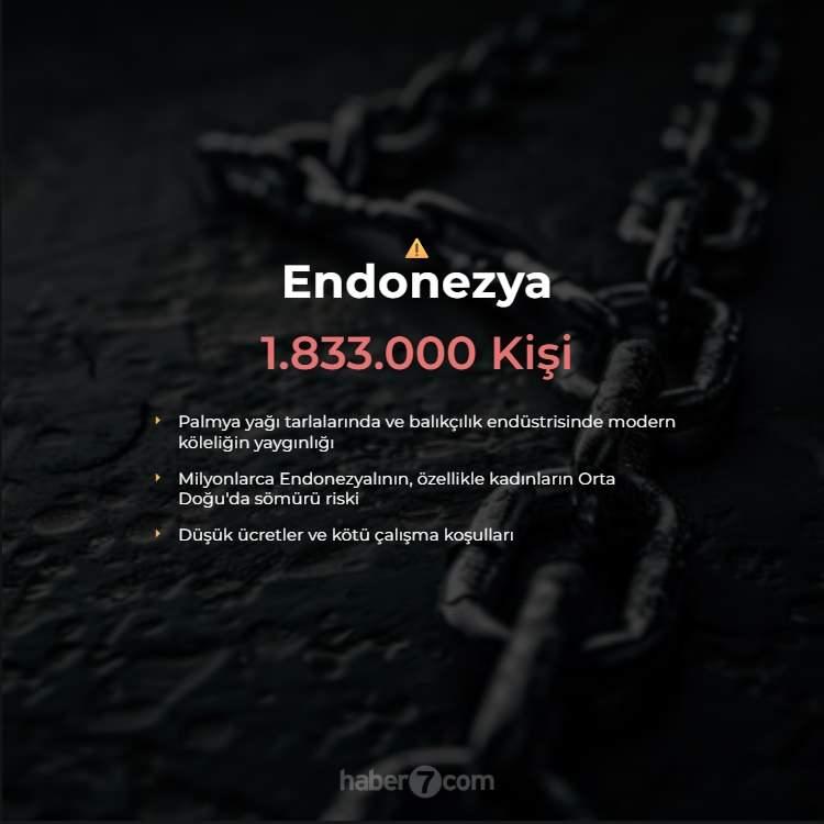 <p><span style="color:#B22222"><strong>6)  ENDONEZYA</strong></span></p>
