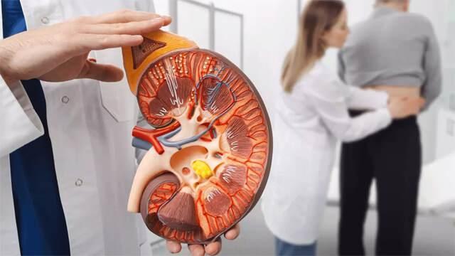 <p><span style="color:#800080"><em><strong> “Diyabet ve hipertansiyon, sessizce tüm damar yapısına zarar verebilir. Gözlerden böbreklere kadar birçok organ bu durumdan etkilenebilir. Özellikle genetik yatkınlığı olan bireylerin düzenli takipte kalması çok önemli.”</strong></em></span></p>
