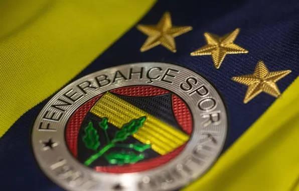 <p><strong><span style="color:#B22222">15) FENERBAHÇE</span> | TÜRKİYE</strong></p>