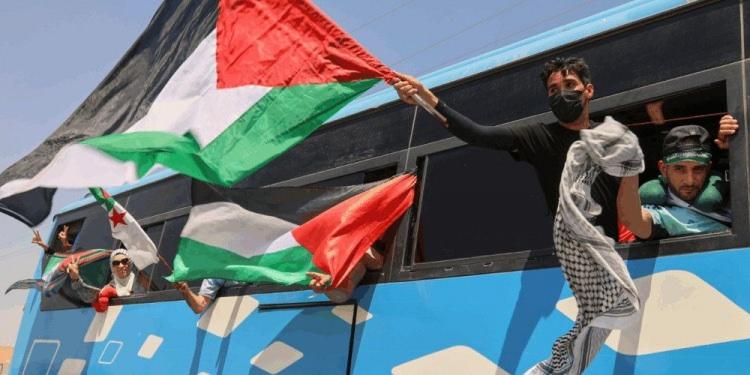 <p>4 Eylül'de Sumud Filosu'na İspanya dışında Tunus, İtalya ve Yunanistan'dan gemiler katılacak. Filoda toplam gemi sayısı 50'yi aşacak.</p>
