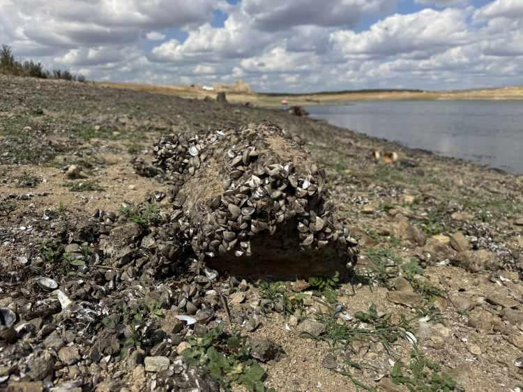 <p>Ünlükara, Güneydoğu Anadolu'da Türkiye'deki su kaynaklarının neredeyse üçte birinin bulunduğunu belirterek, şu ifadeleri kullandı: </p>

<p> </p>
