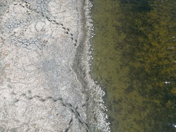 <p>Özellikle tarımsal üretimle öne çıkan İç Anadolu Bölgesi'nin az yağış aldığına, Ankara, Konya, Eskişehir, Kırşehir, Nevşehir ve Sivas'ta kuraklığa gidişat olduğuna dikkati çeken Ünlükara, Aksaray, Nevşehir ve Yozgat'ta kuraklığın daha ciddi boyutlarda olduğunu söyledi.</p>

<p> </p>
