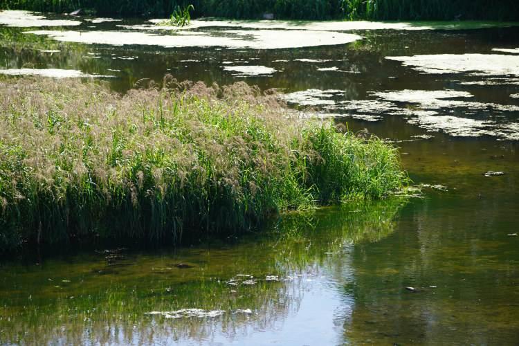 <p>Ege Bölgesi'nde nemliliğin hakim olduğunu aktaran Ünlükara, istisna olarak Denizli'de yıllık bazda kuraklığa doğru bir gidiş tespit edildiğini kaydetti.</p>

<p> </p>
