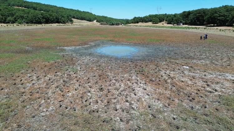 <p>Ünlükara, bu verilerden yola çıkarak Türkiye genelinde il il, bölge bölge, havza havza su kaynaklarının kuraklık bakımından değerlendirilmesi, veriler dikkate alınarak tarımın planlanması gerektiğini sözlerine ekledi.</p>

<p> </p>
