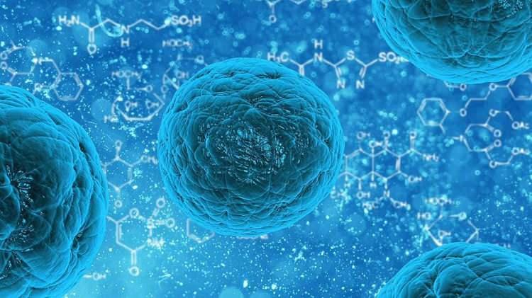 <p>Armstrong'un NewLimit için yaptığı fon toplama çalışmaları, mayıs ayında 130 milyon dolarlık bir turu da içeriyor. Şirketin yatırımcıları arasında milyarderler Khosla ve Thiel'in fonları da bulunuyor.</p>
<p>2022'de kurulan Altos, hücreleri gençleştirmek için teknoloji geliştirmek amacıyla Journal'ın belirlediği şirketler arasında en yüksek rakam olan 3 milyar dolar topladı.</p>