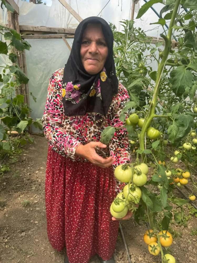 <p><span style="color:#000000"><strong> “KENDİ İŞİMİN PATRONU OLDUM”</strong></span></p>
<p><span style="color:#800080"><strong> Önal, seraya mayısta diktiği ürünlerden bazılarının hasadına başladığına işaret ederek, </strong></span><em><span style="color:#000000"><strong>"Kendi işimin patronu oldum. Son derece memnunum. Kendimiz çalışıyoruz hem de geçimimize faydası oluyor."</strong></span></em><span style="color:#800080"><strong> dedi.</strong></span></p>