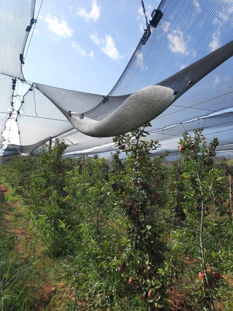 <p><strong>Ekiplerimiz sahada zarar tespit çalışmalarına aralıksız devam etmekte olup, hazırlanacak rapor en kısa sürede Bakanlığımızla paylaşılacaktır. </strong></p>
