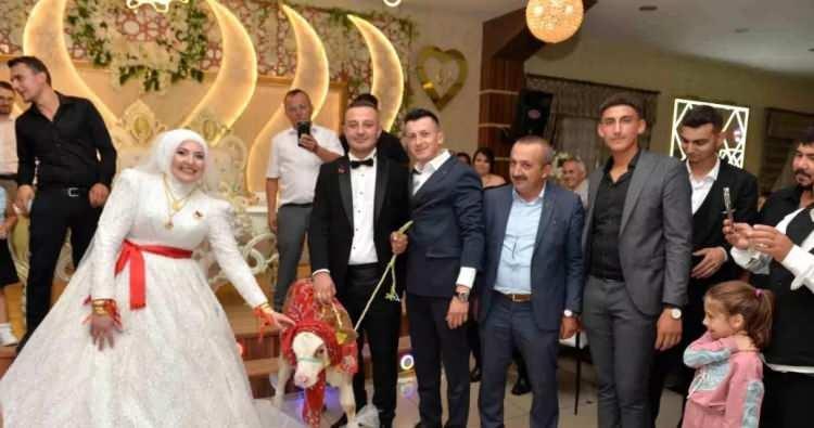 <p><span style="color:#FF0000"><strong>"ÇOK DUYGULANDIK ÇOK GURURLANDIK"</strong></span></p>

<p><strong>Hediye karşısında mutluluk yaşadığını belirten damat Musa Yaman, şöyle konuştu:</strong></p>

<p><strong>"Hafta sonu düğünümüz vardı. Nasip oldu, düğünümüzü yaptık, takı törenimiz geldi. Dayım Salih Dıkkıloğlu ile kuzenim Emrah Dıkkıloğlu, kendilerinden Allah razı olsun bize buzağı hediye ettiler. Çok duygulandık, gururlandık. Galiba Kastamonu'da da bir ilk oldu. Daha önce hiç buzağı hediye edilen gelin ya da damat olmamıştı. Herkes beğendi. Arkadaşlarımız ve biz, çok eğlenceli bir şekilde vakit geçirdik. Düğünümüze yoğun bir ilgi vardı. Herkesten Allah razı olsun"</strong></p>
