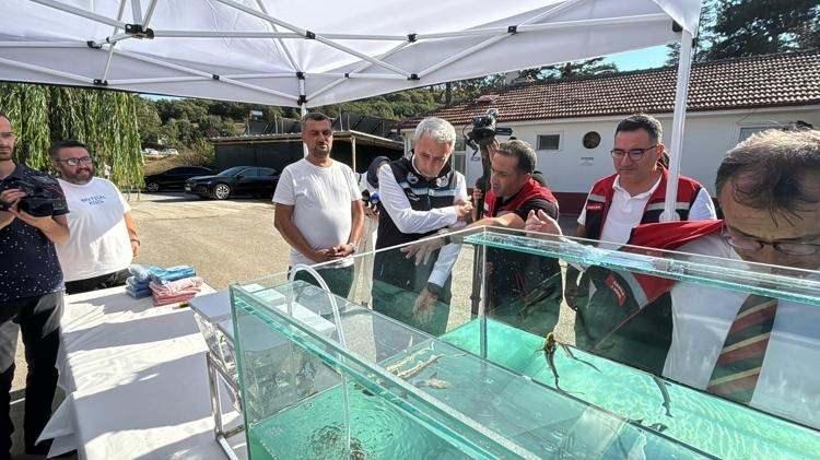 <p><span style="color:#FF0000"><strong>"BU YIL 6 MİLYON ADET BALIK ÜRETİLDİ"</strong></span></p>

<p><strong>Türkiye'nin son yıllarda Mersin balığı üretimine yoğunlaştığını, yılda yaklaşık 500 bin adet Mersin balığı yavrusunun üretildiğini ve bu yavruların özellikle Karadeniz'deki stokların artırılması amacıyla kullanıldığını dile getiren Türkyılmaz, şöyle konuştu:</strong></p>

<p><strong>"Sazan balığı ağırlıklı olarak ve son birkaç yıldır da Mersin balığı üzerinde çalışmalarımızı yürütüyoruz. Burada yıllık olarak üretilen sazan balığı yavruları, balıklandırma amacıyla Bolu dahil olmak üzere 8 ilin sorumluluğu çerçevesinde diğer illere gönderilmektedir. 8 farklı ilimizdeki su kaynakları bu şekilde balıklandırılmaktadır. Bu yıl içerisinde ürettiğimiz balık miktarı 6 milyon adedin üzerinde gerçekleşmiştir. Mersin balığı konusunda ise 2-3 yıldır bu tesiste çalışmalar yürütülmektedir"</strong></p>
