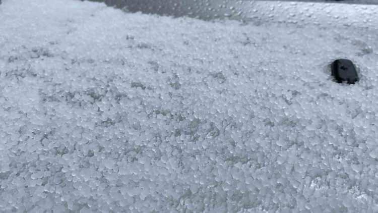 <p><strong>Afetlere karşı çiftçilerimizin Tarım Sigortası (TARSİM) yaptırmalarının ne kadar önemli olduğunu bir kez daha gördük."</strong></p>
