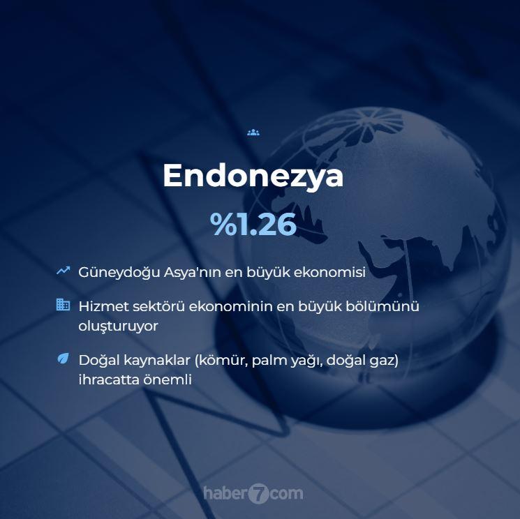 <p>17. Endonezya - %1.26</p>
