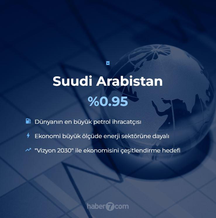 <p>19. SUUDİ ARABİSTAN - %0.95</p>
