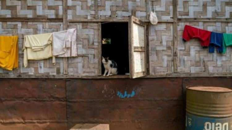 <p><strong>DÜNYANIN KAYIP ŞEHRİ OLARAK ANILDI</strong></p>

<p>Bu nedenle Long Tieng, “dünyanın kayıp şehri” ya da “görünmez şehir” olarak anıldı.</p>

<p> </p>

<p> </p>
