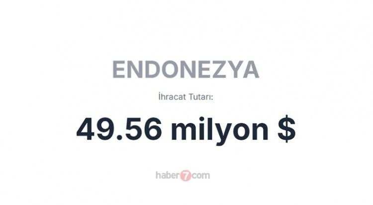<p><span style="color:inherit"><span style="color:rgb(178, 34, 34)"><strong>ENDONEZYA</strong></span></span></p>

<p> </p>
