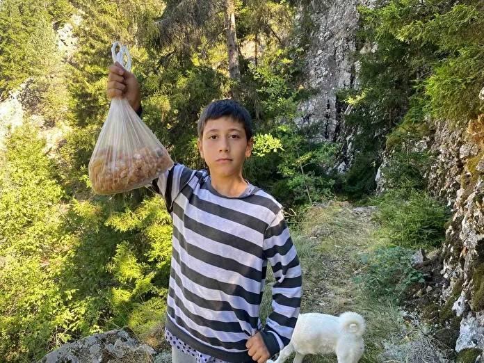 <p><strong>Artvin'de yaşayan 5. sınıf öğrencisi Eymen Bülbül'ün azmi ve çalışkanlığı sosyal medyada gündem oldu. </strong></p>
