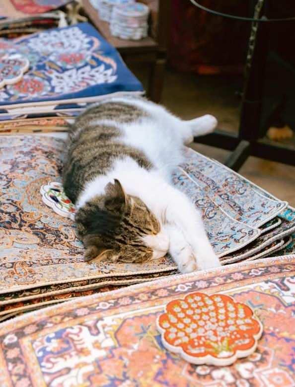 <p><strong>Orhan Veli Kanık'ın 'İstanbul'u Dinliyorum' şiirinden "İstanbul’u dinliyorum, gözlerim kapalı" alıntısını paylaşan basketbol yıldızı, İstanbul hayranlığını dile getirdi.</strong></p>
