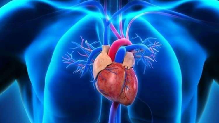 <p>Çalışma kapsamında 2.800 katılımcının verilerini inceleyen bilim insanları, omega-3 ve omega-6 yağ asitlerini yüksek oranda tüketen bireylerde, iltihap göstergesi olan GlycA seviyelerinin anlamlı şekilde arttığını ortaya koydu.</p>