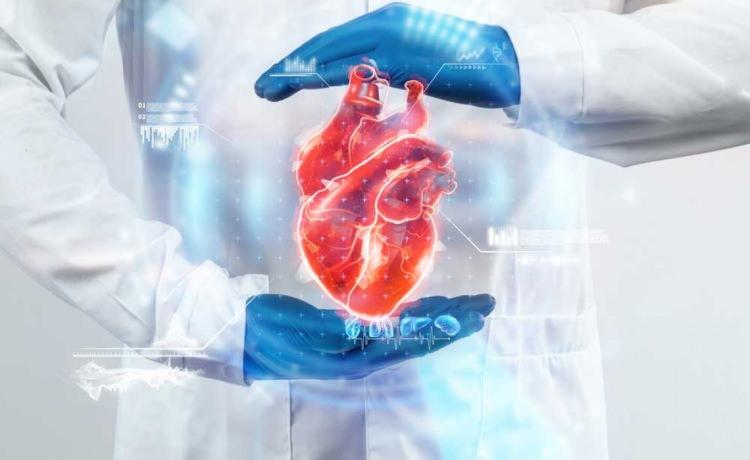 <p>GlycA, vücutta kronik inflamasyonun ve dolayısıyla kalp hastalıkları riskinin habercisi olarak kabul edilen önemli bir kan biyobelirteci olarak biliniyor. Araştırma, bu tür yağ asitlerinin herkes için faydalı olmayabileceğine dikkat çekiyor.</p>
