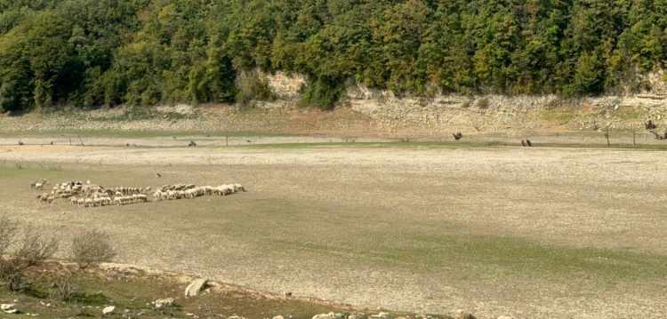 <p>'DENİZ SUYU ARITILMASI SÜRDÜRÜLEBİLİR DEĞİL'</p>

<p>Alternatif olarak bazı ülkelerde deniz suyunun arıtıldığını, ancak bunun sürdürülebilir bir çözüm olmadığını kaydeden Prof. Dr. Tecer, "Deniz suyunu arıtarak içme suyu ve kullanmak için kullanmak teknik olarak mümkündür. Bundan bahsedebiliriz ama bu sürdürülebilir bir çözüm değildir. Çünkü deniz suyu tuzlu bir sudur. Bunun arıtılması, içilecek ya da sulama suyu haline getirilecek aşamaya, kaliteye getirilmesi için muazzam bir yatırım maliyeti gerekir, bir de çok ciddi bir işletme maliyeti vardır. Bugün evlerde kullandığımız suyun metreküpünün belki 3-5 katı, belki 10 katı kadar bir maliyet harcamamız gerekir. Bu en son duyacağımız bir çözüm olabilir ancak deniz suyunun arıtılması, tekrar kullanılması günümüz teknolojisiyle sürdürülebilir bir çözüm, bir yaklaşım asla değildir" diye konuştu.</p>
