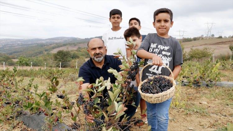 <p>Soğuk iklim koşullarına dayanıklı aronyanın Kocaeli'de başarılı şekilde yetiştirilebileceğini üretimiyle kanıtladığını ifade eden Üstünel, <strong>"Bulunduğumuz bölge karın ilk düştüğü yerlerden biri. Buna rağmen fidanlarımız gayet sağlıklı. Kocaeli'nin iklimi aronya üretimi için uygun."</strong> değerlendirmesinde bulundu.</p>
