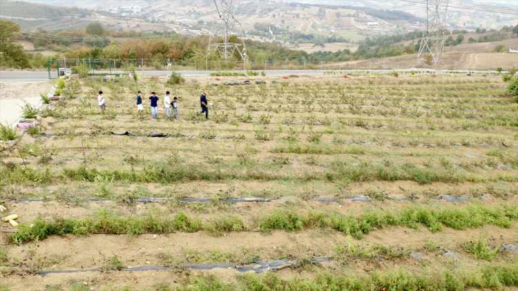 <p>Üstünel, uğraşıyla bir yandan ek gelir sağlarken diğer yandan da İzmit Sanayi Sitesi’nde 10 kişiyi istihdam ettiği işletmesindeki yoğun iş temposundan uzaklaştığı bir alana sahip oldu.</p>

